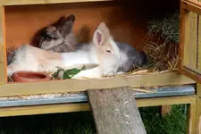 DSCN3467.webp
