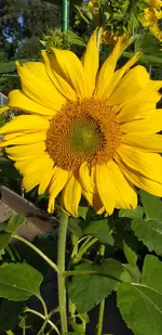 20210729_184650.webp