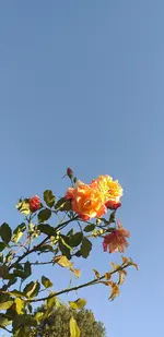 20210729_184946.webp