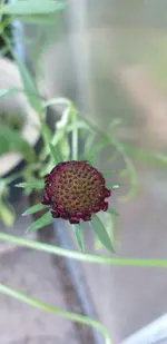 20210729_184729.webp
