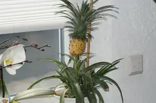DSC01165.webp