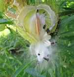 IMG_2120 v (2).webp