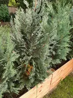 20210730_073354.webp