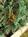 20210730_073348.jpg