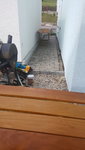 IMG-20200516-WA0001.jpeg