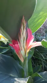 20210730_070045.webp