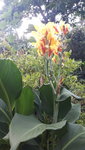 20210729_192806.jpg