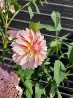 20210730_165002.webp
