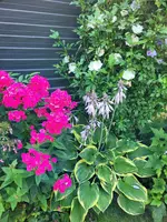 20210730_164927.webp