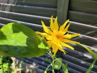 20210730_164850.webp
