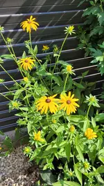 20210730_164824.webp