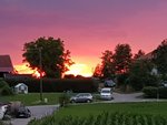 IMG-20210730-WA0004.jpg