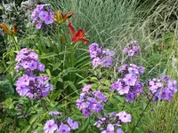 DSCF4958.webp