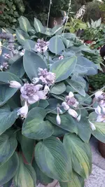 20210730_205726.webp