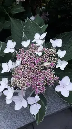 20210730_205644.webp