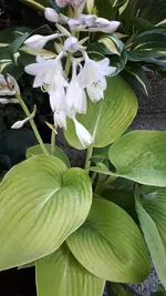 20210729_091358.webp