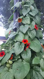 20210730_205627.webp