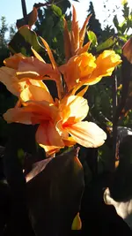 20210730_070012.webp