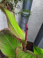 20210731_130506.webp