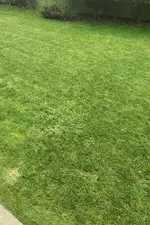 IMG_20210731_1406105.webp