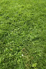 IMG_20210731_1406161.webp