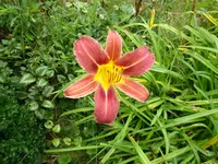 DSC01978.JPG