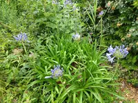 DSC01975.JPG