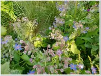 August Sandbeet 1.webp