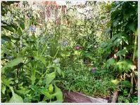 August Sandbeet 2.webp