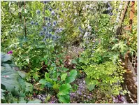August Sandbeet 3.webp