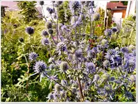 August Sandbeet 4.webp