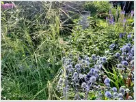 August Sandbeet 5.webp