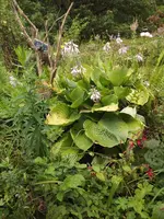 DSCF3232.webp