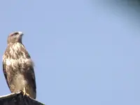 DSCF3217.webp