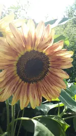 20210731_151215.webp