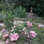 IMG_0362.webp