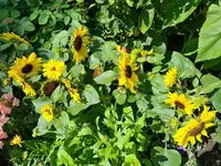 20210731_135516.webp