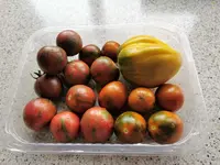 IMG_20210801_100525.webp