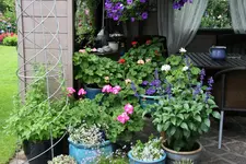 Terasse     0421.webp