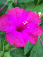 79B1B674-2337-4084-901D-8F1CCC887063.webp