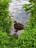 IMG_20210801_144431_1.jpg