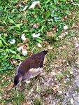 IMG_20210801_144624_1.jpg
