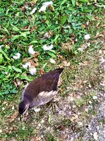 IMG_20210801_144624_1.jpg