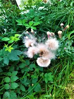 IMG_20210801_145112.webp