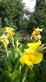 20210801_170250.webp