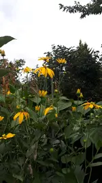 20210731_191730.webp