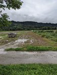 PXL_20210801_131845032.jpg