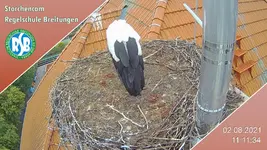 bild.jpeg-16.webp