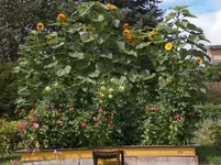 HPIM4279[1].webp