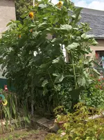 HPIM4282[1].webp